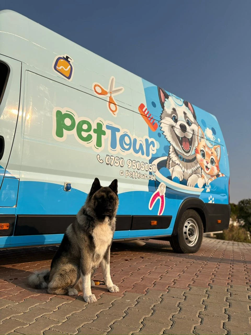 Original photograph of the Pet Tour van and dog
